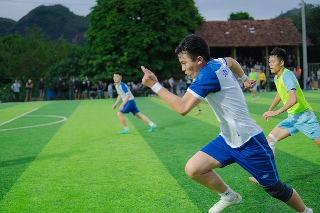 的个人职业 的个人职业