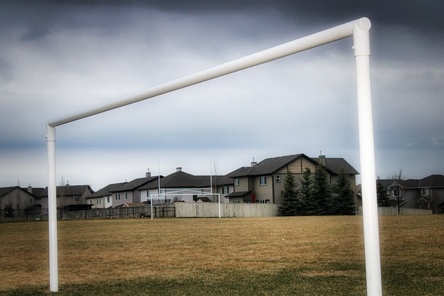 还是洛国富 还是洛国富