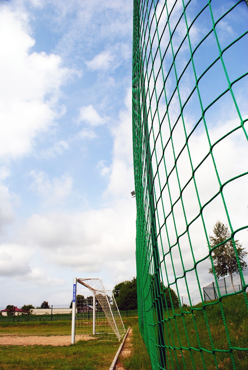 了国内足球 了国内足球