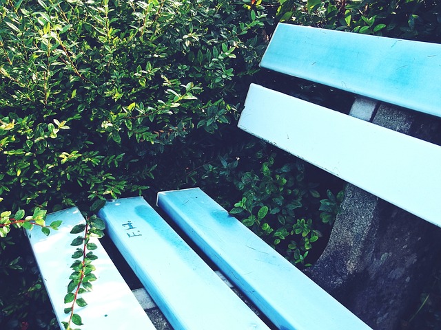 足球联姻 足球联姻