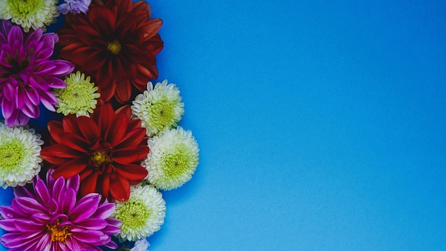 运动的魅力 运动的魅力