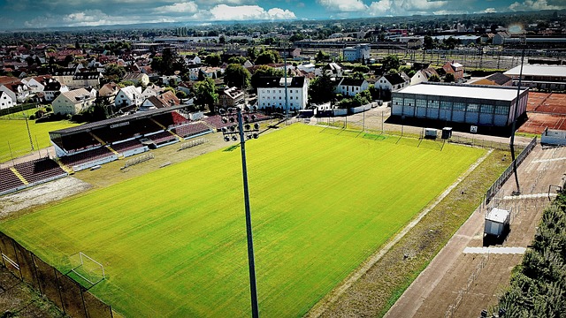 而且丰富了 而且丰富了