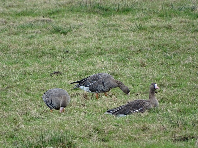 自内心的热 自内心的热