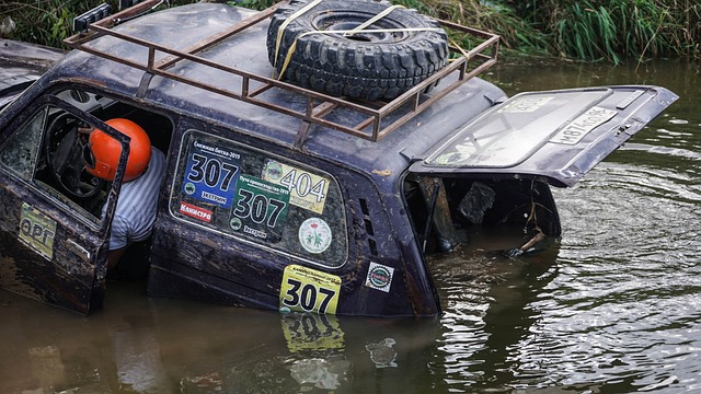总的来说 总的来说