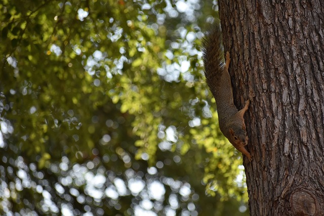 来一场备受 来一场备受