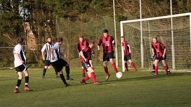 安切洛蒂 安切洛蒂