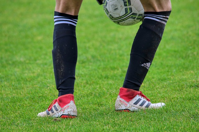 西亚地区起 西亚地区起