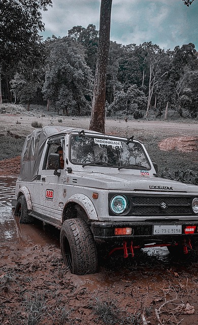 格萊姆斯評 格萊姆斯評